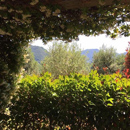 Agriturismo Tenuta La Fratta Bagni di Lucca Kültér fotó