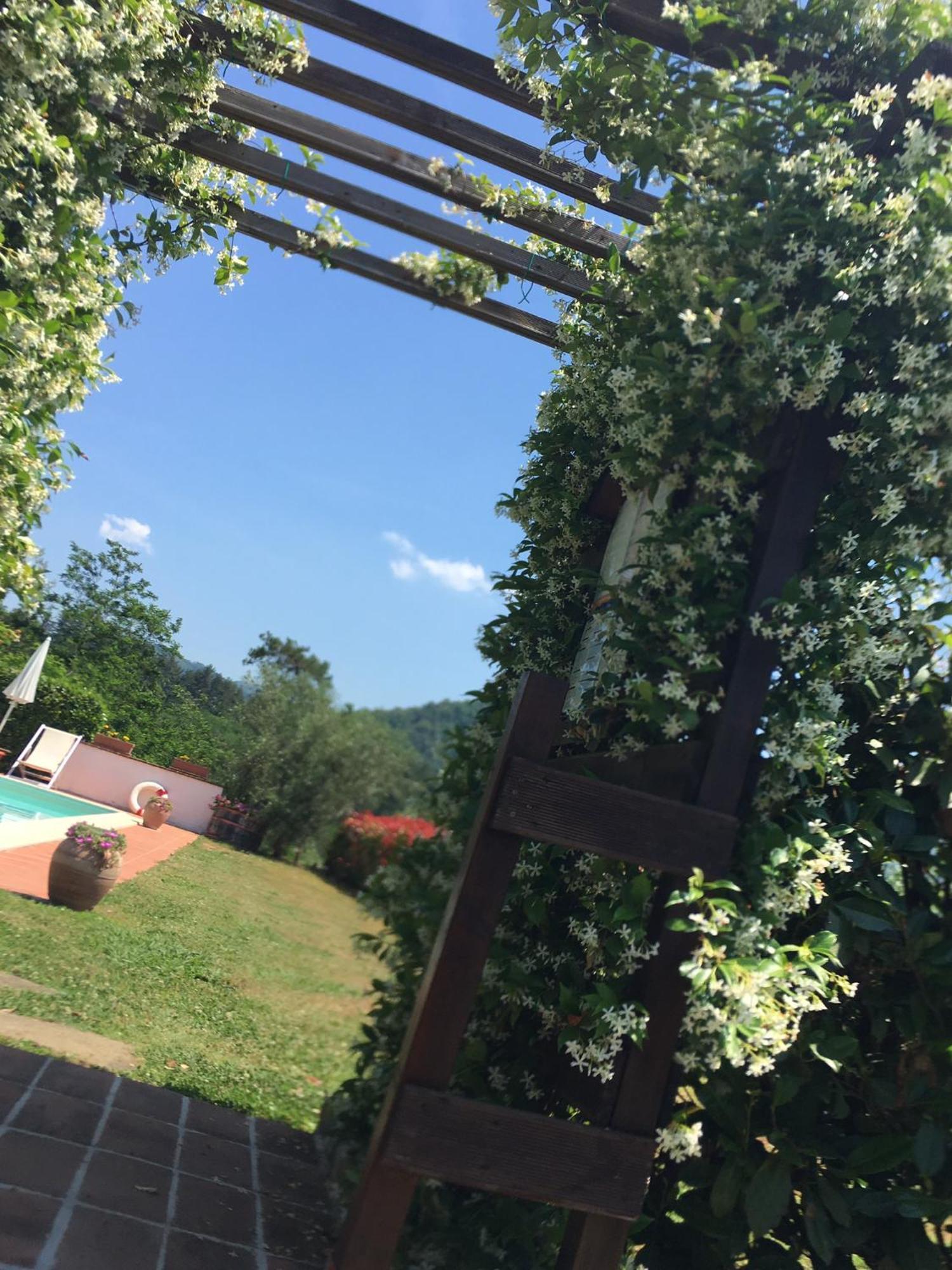 Agriturismo Tenuta La Fratta Bagni di Lucca Kültér fotó