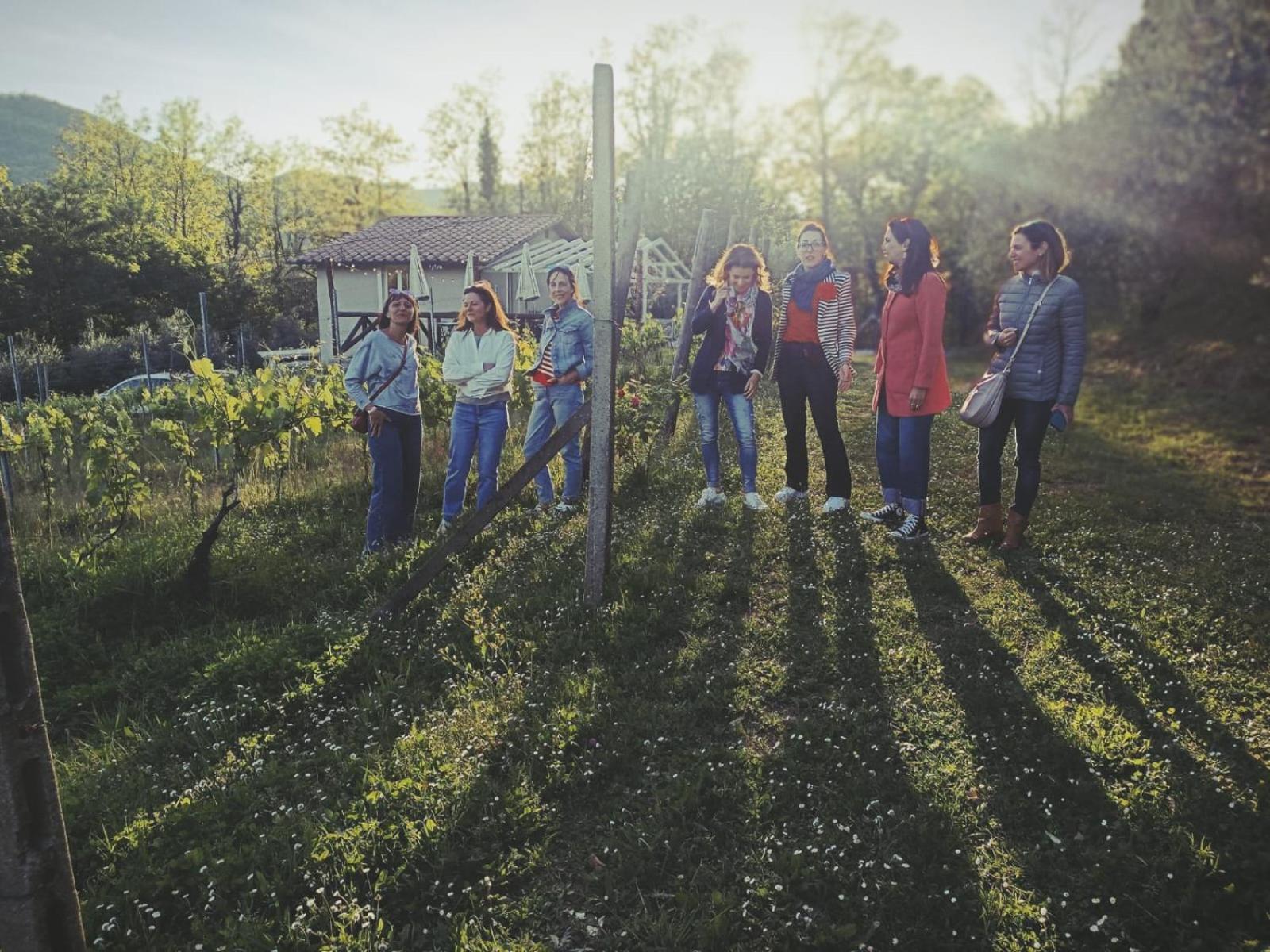 Agriturismo Tenuta La Fratta Bagni di Lucca Kültér fotó