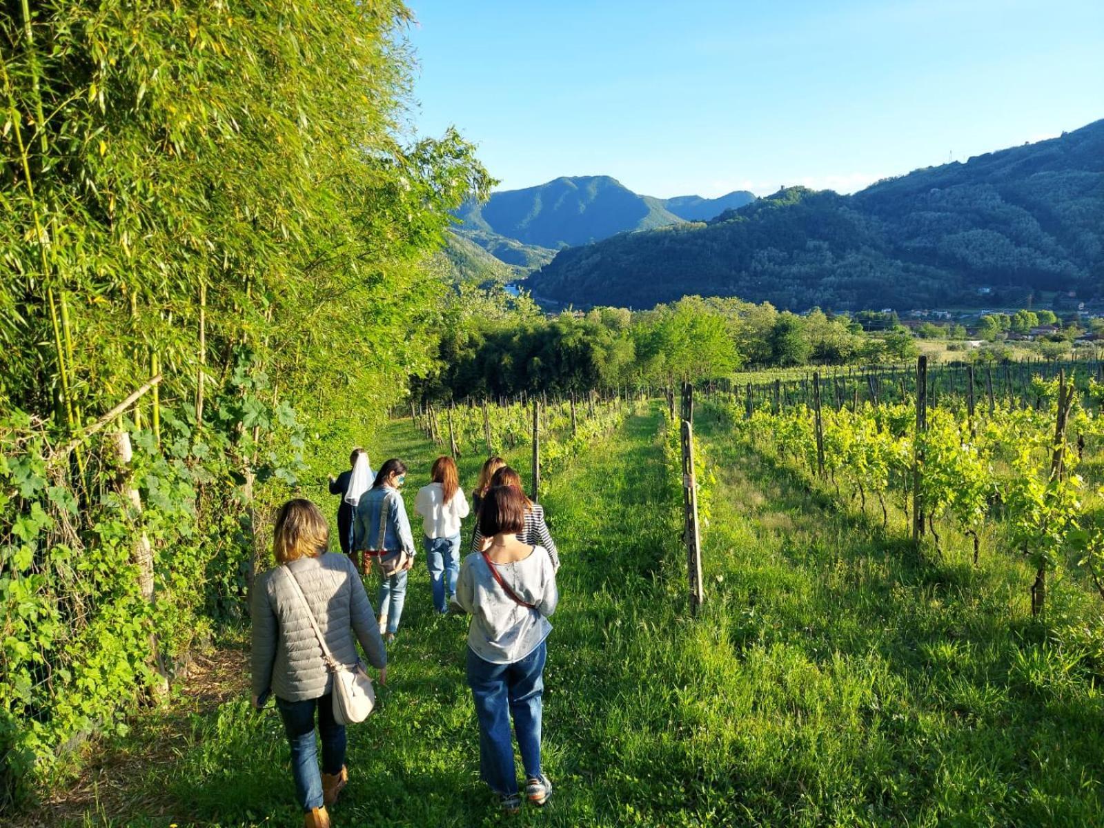 Agriturismo Tenuta La Fratta Bagni di Lucca Kültér fotó