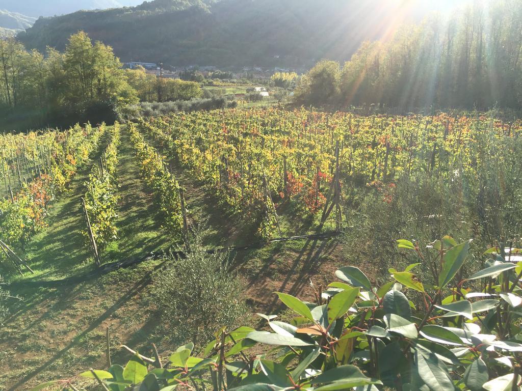 Agriturismo Tenuta La Fratta Bagni di Lucca Kültér fotó