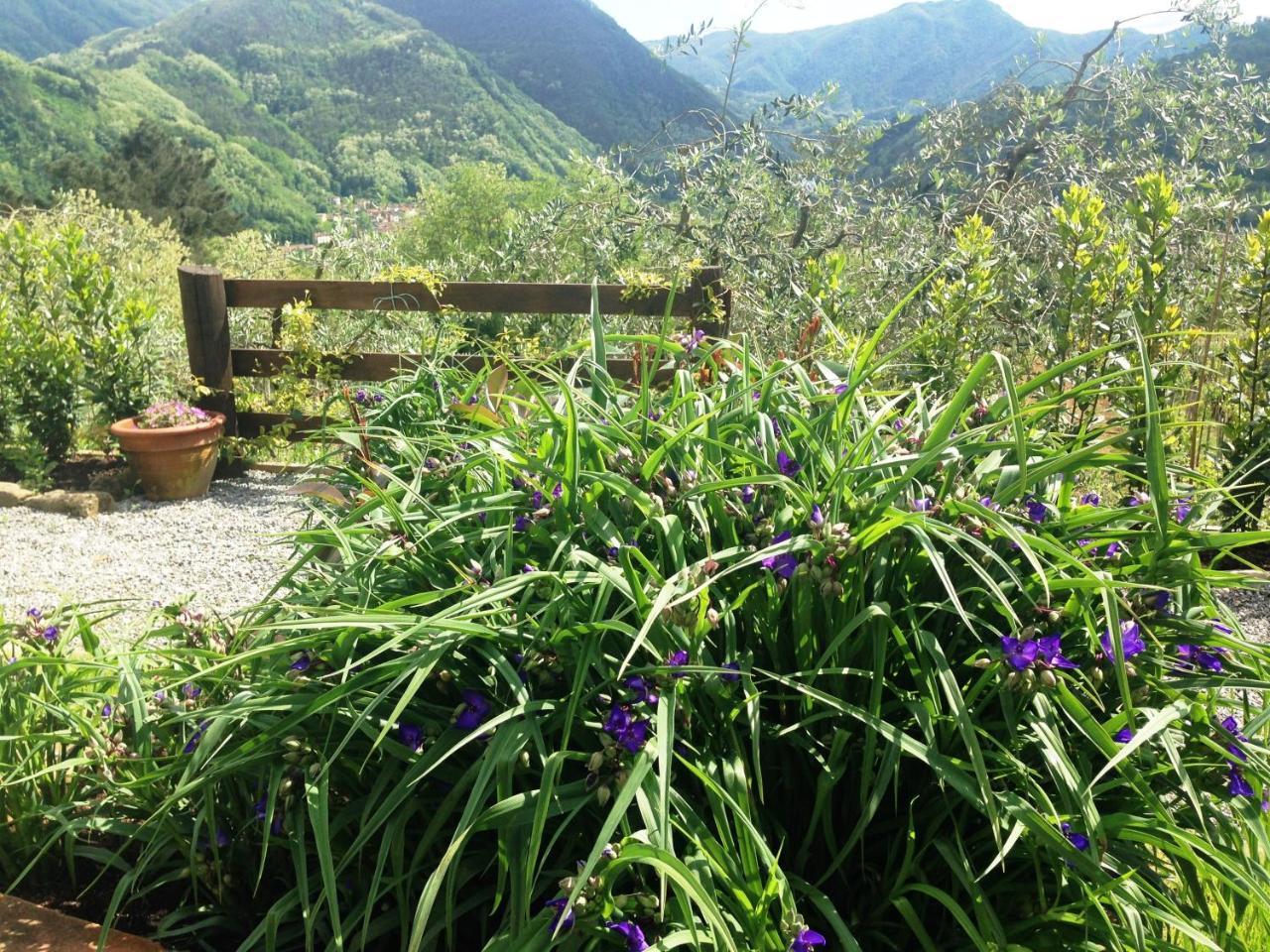 Agriturismo Tenuta La Fratta Bagni di Lucca Kültér fotó