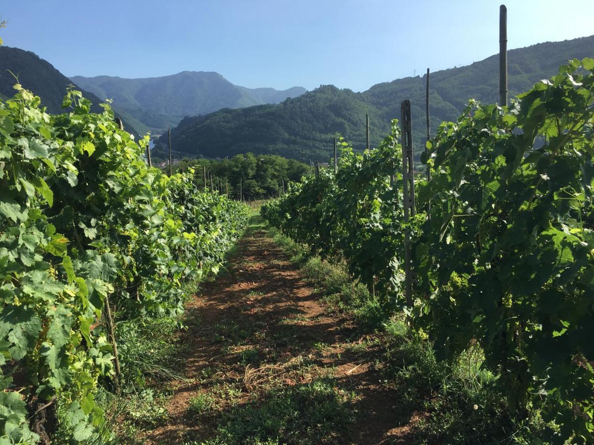 Agriturismo Tenuta La Fratta Bagni di Lucca Kültér fotó
